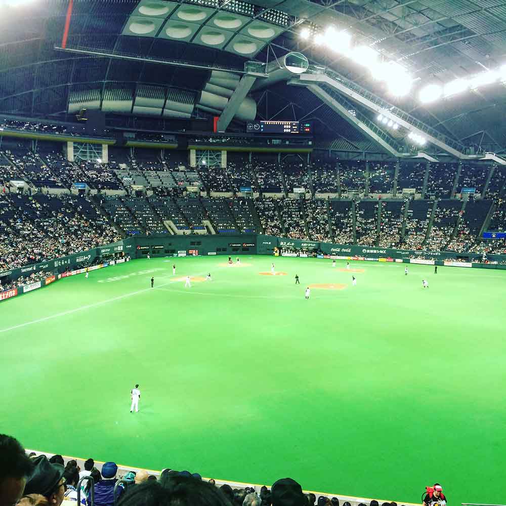 Sapporo Baseball