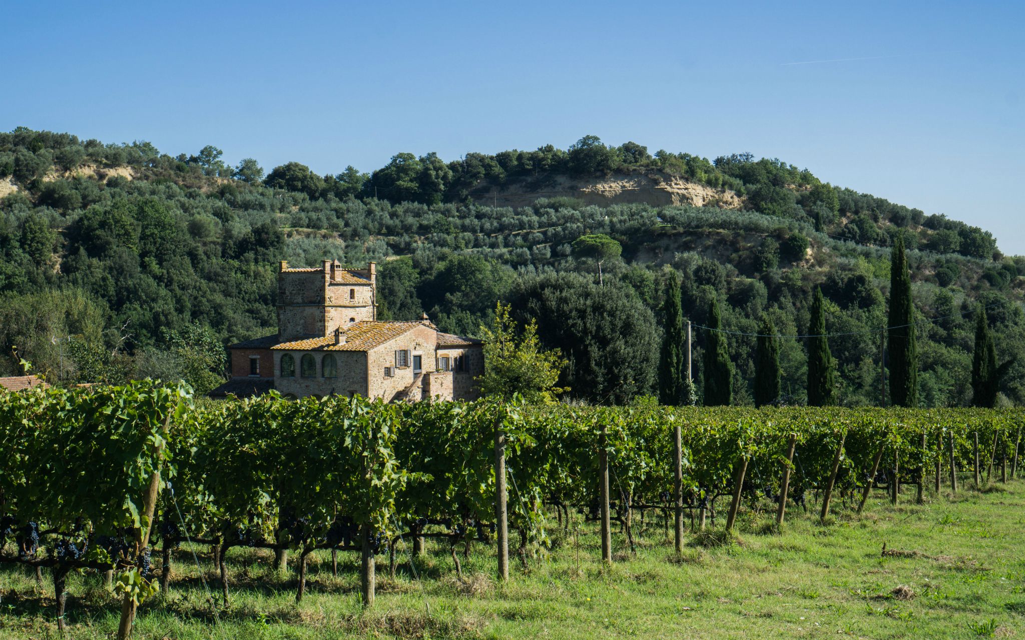 Tuscan Countryside