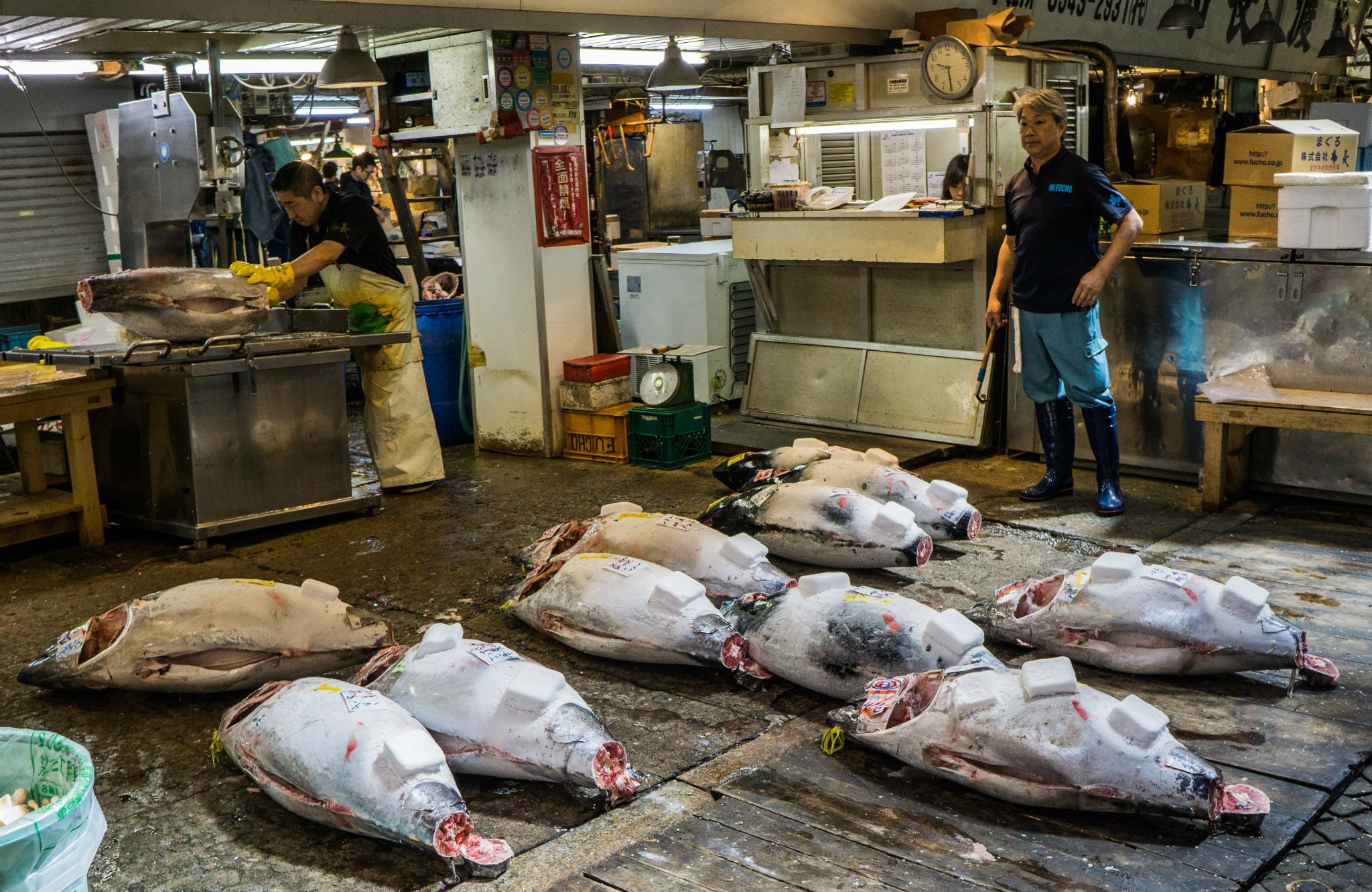 Tsukiji Market, Tokyo